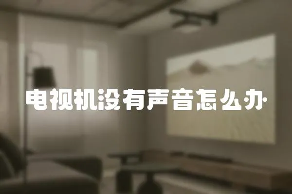 電視機(jī)沒有聲音怎么辦