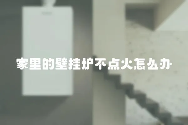 家里的壁掛爐不點火怎么辦