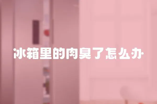 冰箱里的肉臭了怎么辦