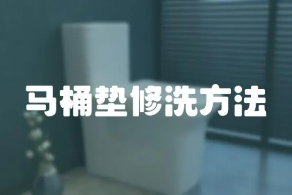 馬桶墊修洗方法