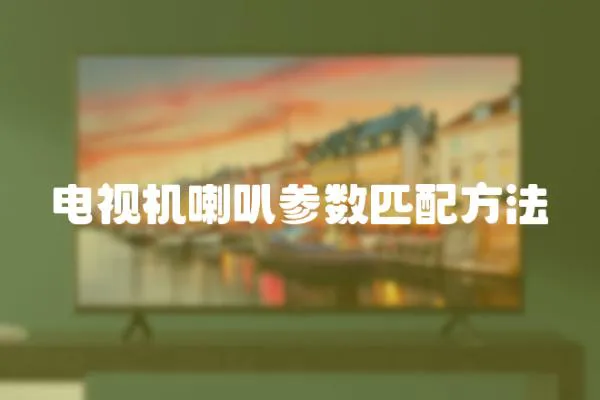 電視機喇叭參數匹配方法