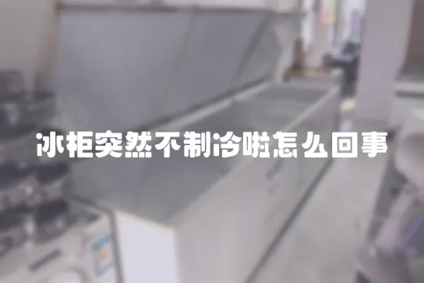 冰柜突然不制冷啦怎么回事