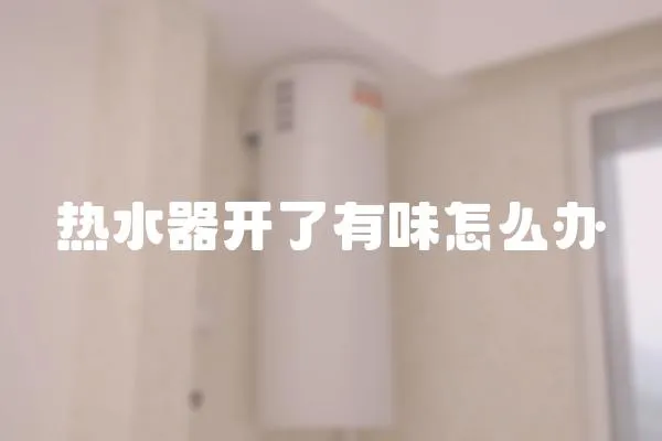 熱水器開了有味怎么辦