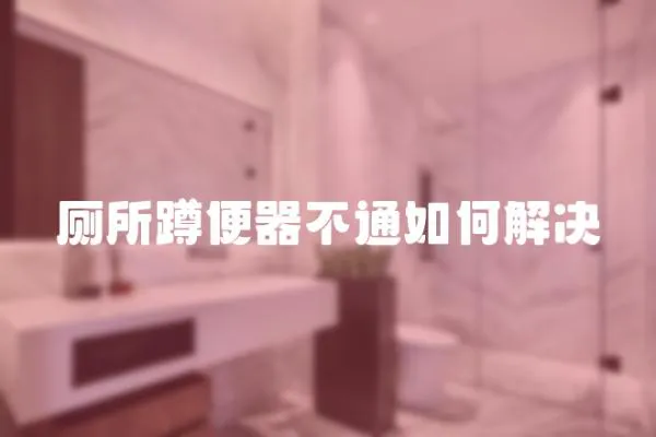 廁所蹲便器不通如何解決