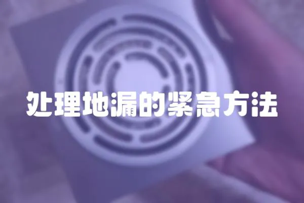 處理地漏的緊急方法