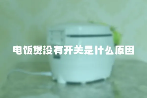 電飯煲沒有開關是什么原因