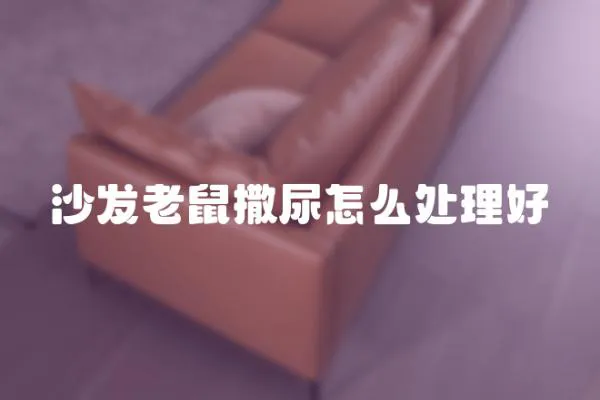 沙發老鼠撒尿怎么處理好