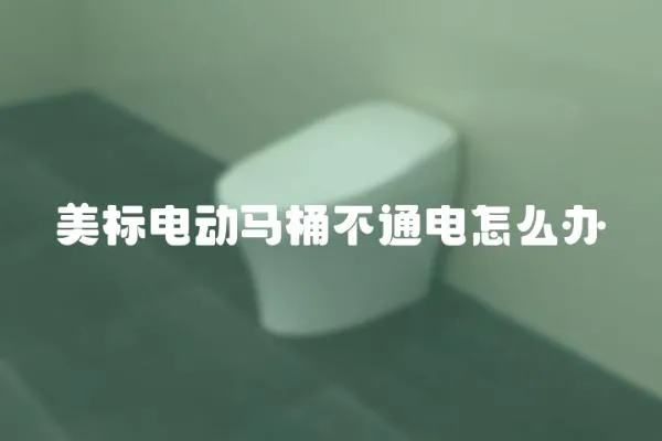 美標電動馬桶不通電怎么辦