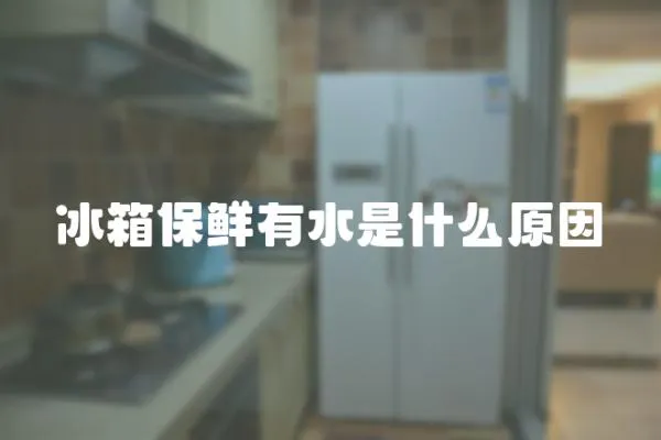 冰箱保鮮有水是什么原因