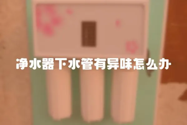 凈水器下水管有異味怎么辦