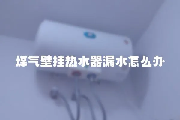 煤氣壁掛熱水器漏水怎么辦