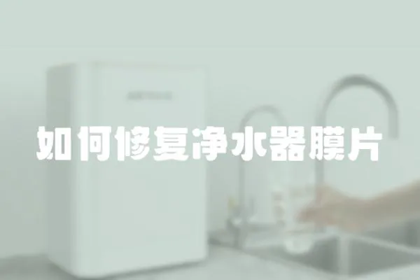 如何修復(fù)凈水器膜片