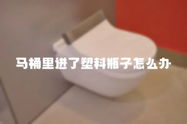 马桶里进了塑料瓶子怎么办