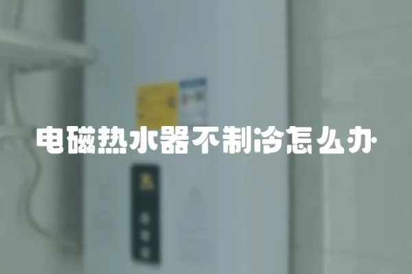 電磁熱水器不制冷怎么辦