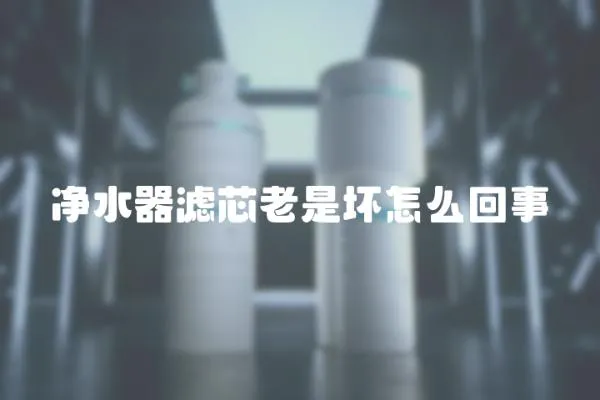 凈水器濾芯老是壞怎么回事