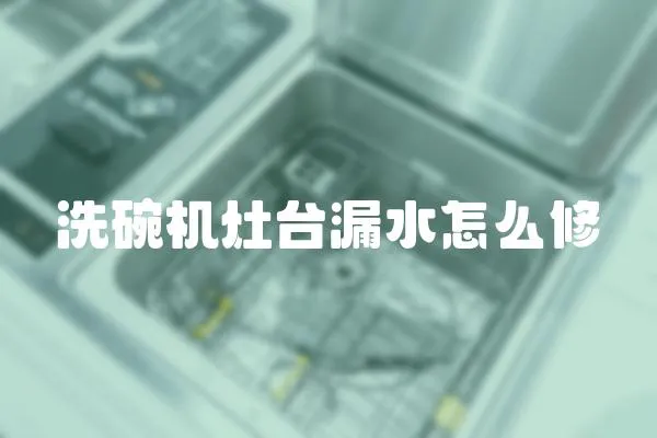 洗碗機(jī)灶臺漏水怎么修