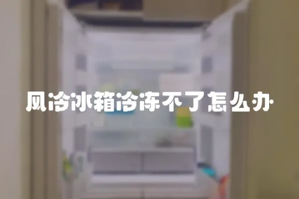 風(fēng)冷冰箱冷凍不了怎么辦