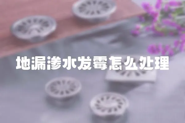 地漏滲水發霉怎么處理