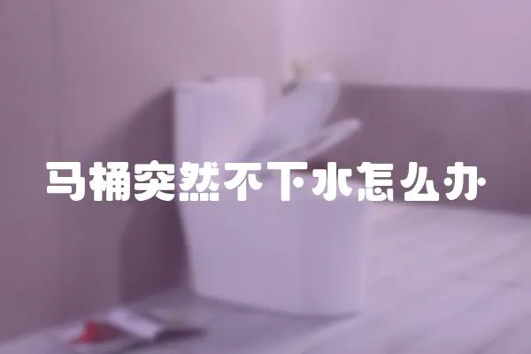 馬桶突然不下水怎么辦