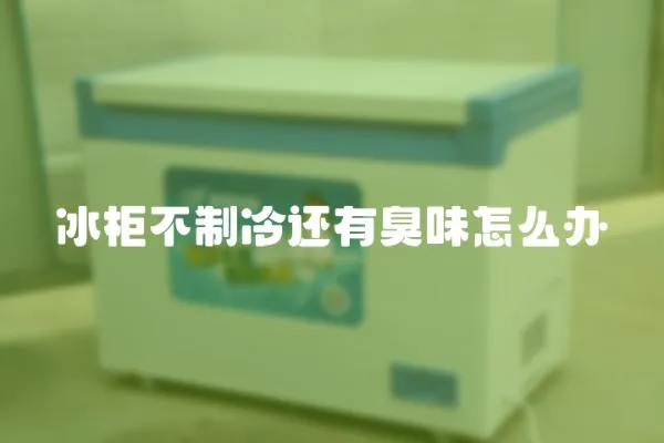 冰柜不制冷還有臭味怎么辦