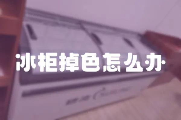 冰柜掉色怎么辦