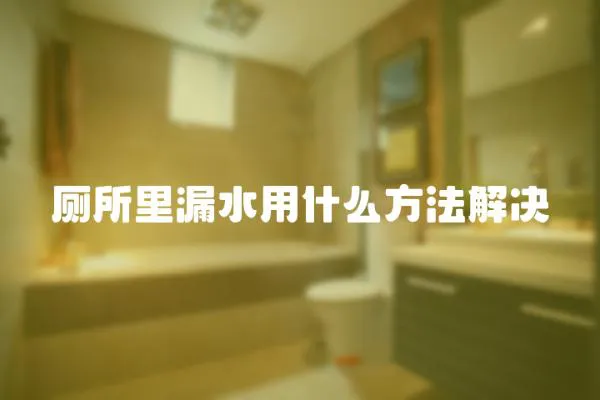 廁所里漏水用什么方法解決