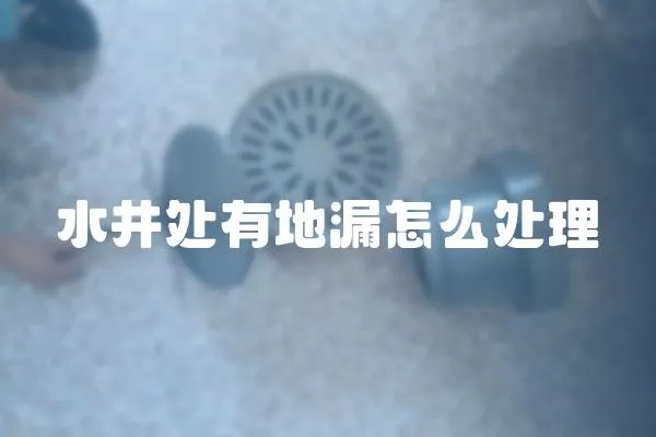 水井處有地漏怎么處理
