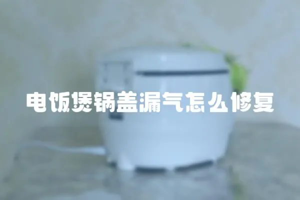 電飯煲鍋蓋漏氣怎么修復