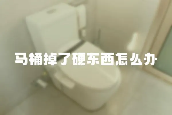 馬桶掉了硬東西怎么辦