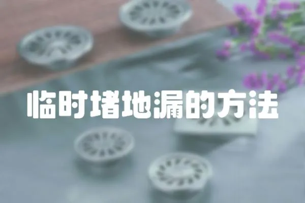 臨時堵地漏的方法