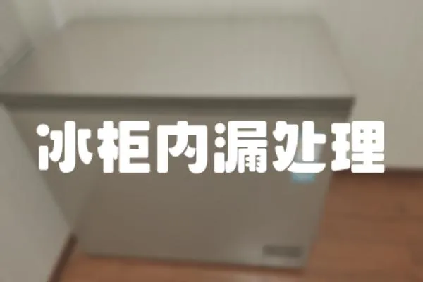 冰柜內漏處理
