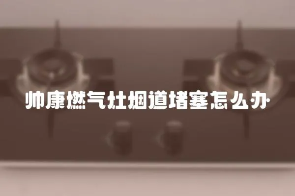 帥康燃氣灶煙道堵塞怎么辦