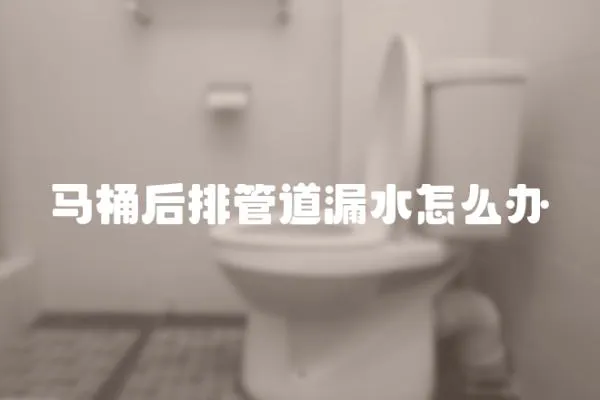 馬桶后排管道漏水怎么辦