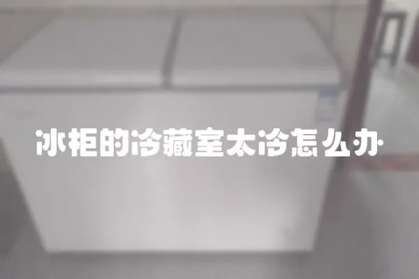 冰柜的冷藏室太冷怎么辦