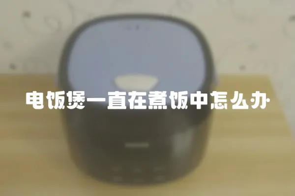 電飯煲一直在煮飯中怎么辦