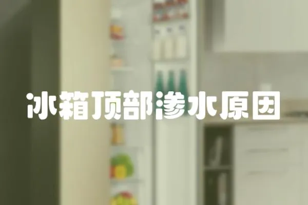 冰箱頂部滲水原因