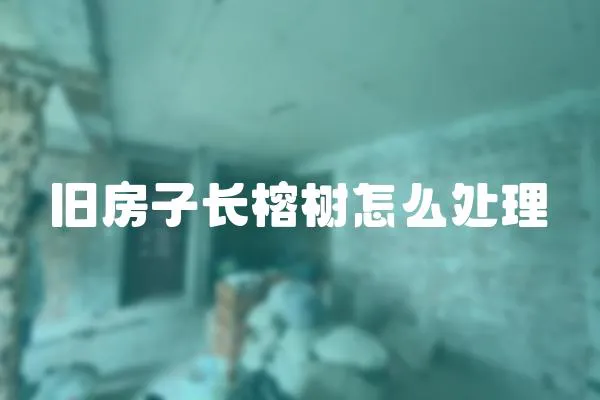 舊房子長榕樹怎么處理