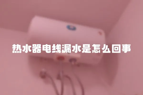 熱水器電線漏水是怎么回事