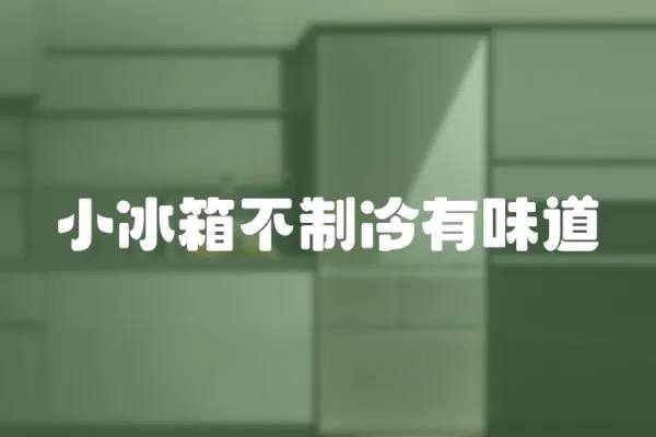 小冰箱不制冷有味道