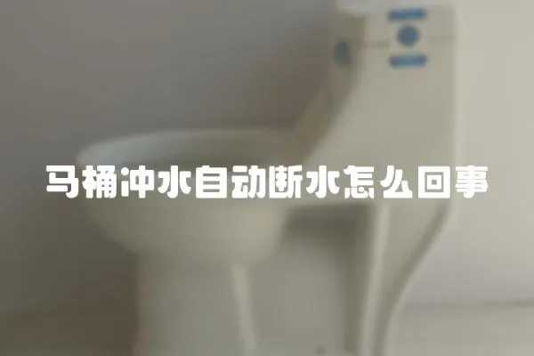 馬桶沖水自動斷水怎么回事