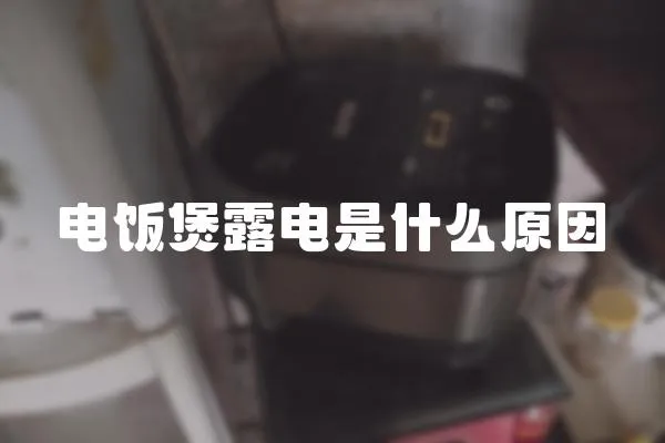 電飯煲露電是什么原因