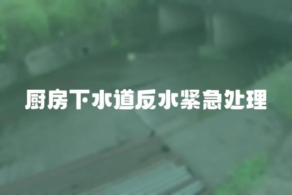 廚房下水道反水緊急處理