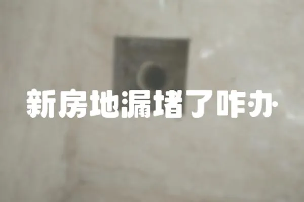 新房地漏堵了咋辦