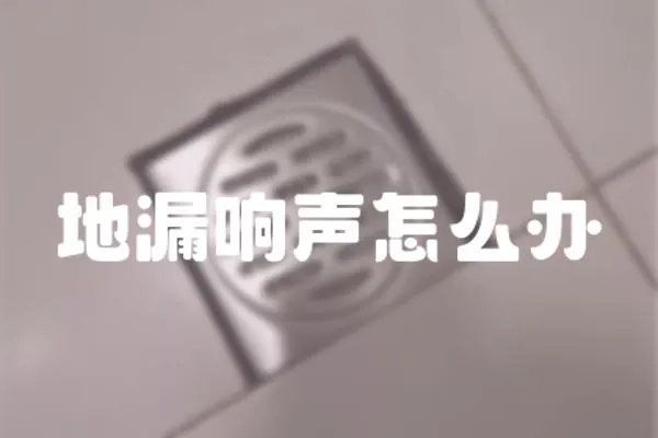 地漏響聲怎么辦