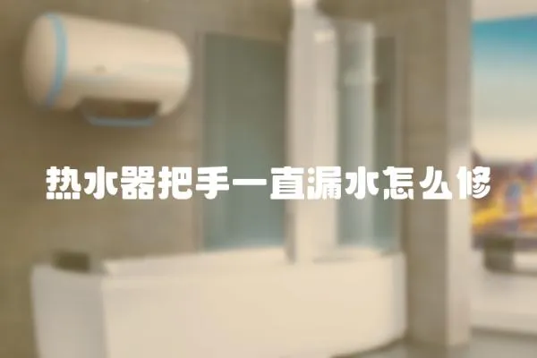 熱水器把手一直漏水怎么修