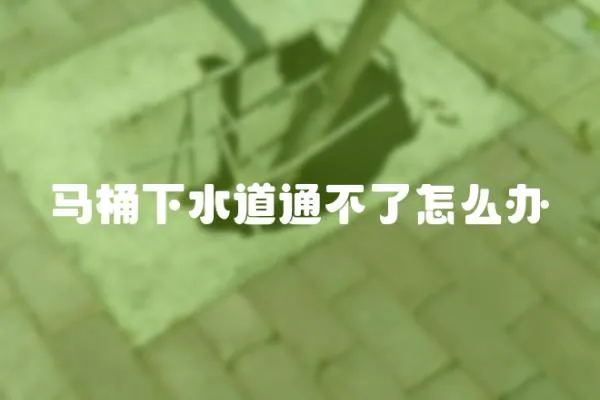 馬桶下水道通不了怎么辦