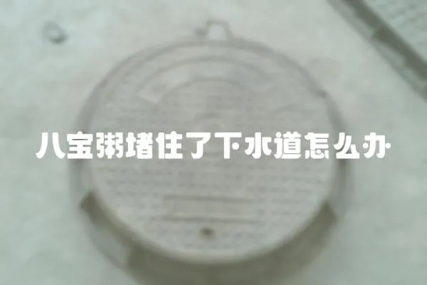 八寶粥堵住了下水道怎么辦