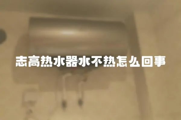 志高熱水器水不熱怎么回事
