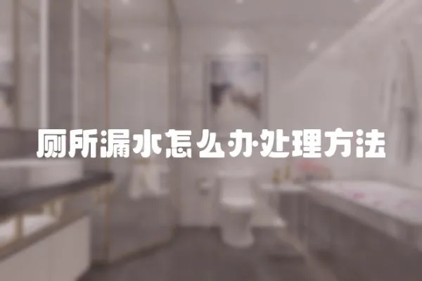 廁所漏水怎么辦處理方法
