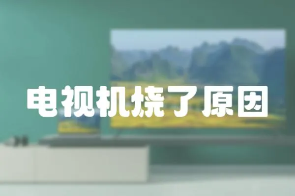 電視機燒了原因